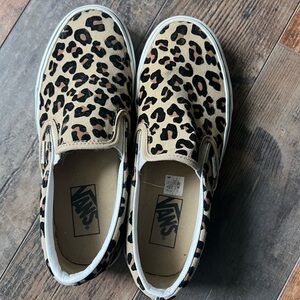 Cheetah vans